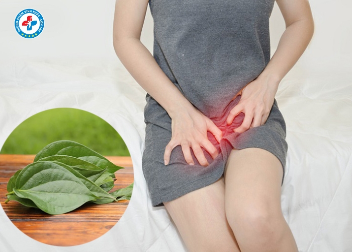 Chữa viêm nhiễm vùng kín tại Vĩnh Phúc (5)