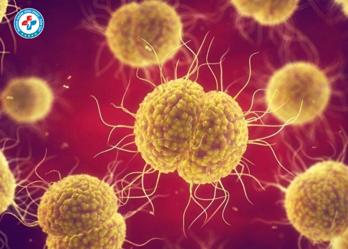 Điều Trị Lậu Nam Tại Vĩnh Tường (6)