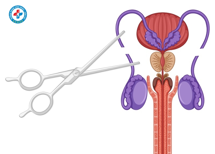 Phẩu thuật thắt ống dẫn tinh tại Vĩnh Tường (10)