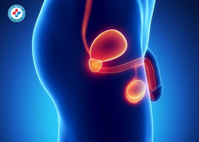 Phẩu thuật thắt ống dẫn tinh tại Vĩnh Tường (6)