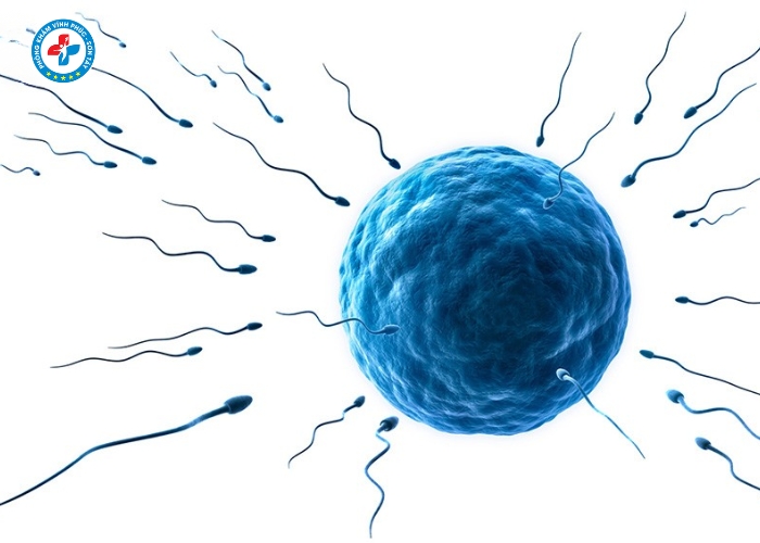 điều trị tinh trùng yếu tại Vĩnh Tường (9)