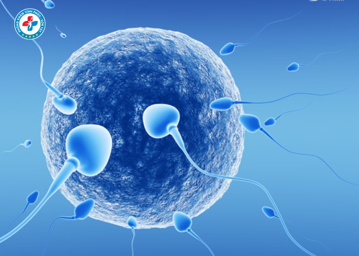 điều trị vô sinh nam tại Vĩnh Tường (5)