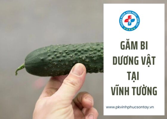 găm bi dương vật tại Vĩnh Tường (1)