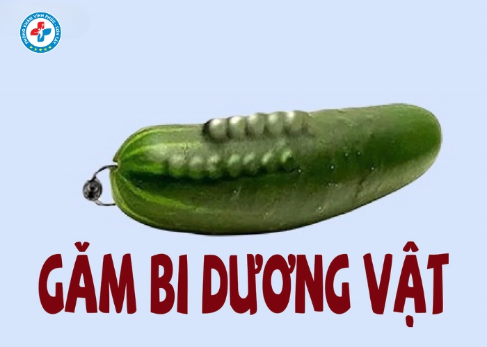 găm bi dương vật tại vĩnh phúc (5)