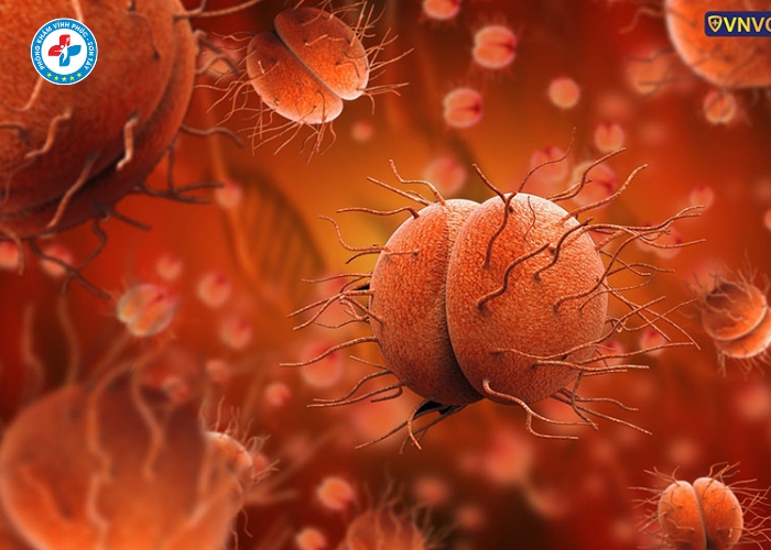 Điều Trị Lậu Nam Tại Sơn Tây (8)