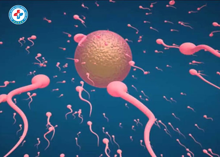 điều trị vô sinh nam tại Sơn Tây (16)