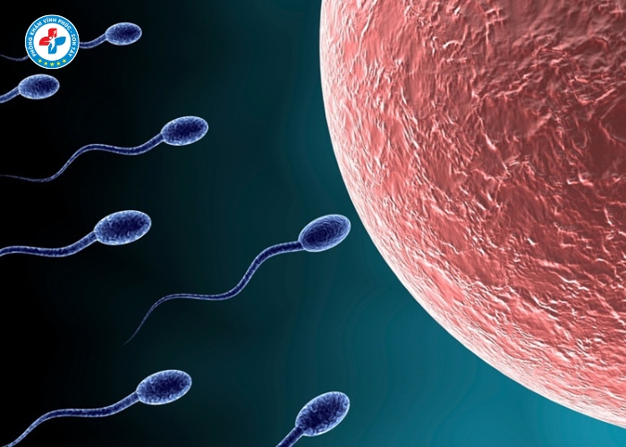 điều trị vô sinh nam tại Sơn Tây (19)