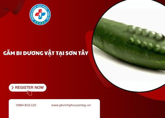 găm bi dương vật tại Sơn Tây (2)