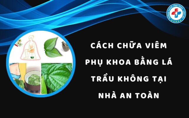 Cách chữa viêm phụ khoa bằng lá trầu không tại nhà