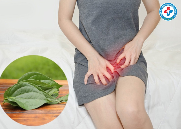 Cách chữa viêm phụ khoa bằng lá trầu không tại nhà (3) Cách chữa viêm phụ khoa bằng lá trầu không tại nhà (3)