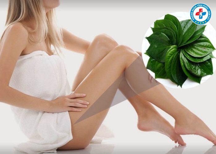 Cách chữa viêm phụ khoa bằng lá trầu không tại nhà (4) Cách chữa viêm phụ khoa bằng lá trầu không tại nhà (4)