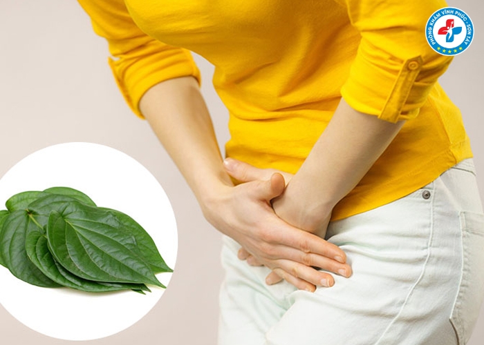 Cách chữa viêm phụ khoa bằng lá trầu không tại nhà (6) Cách chữa viêm phụ khoa bằng lá trầu không tại nhà (6)